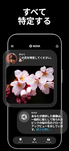 日本語のAIチャットボット - Nova screenshot