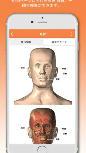 神-鍼灸 screenshot