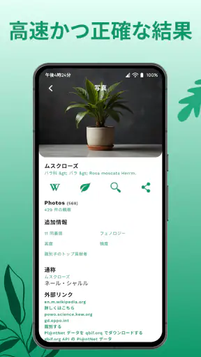 花の名前を調べる: しょくぶつ図鑑 - 樹木判別 screenshot