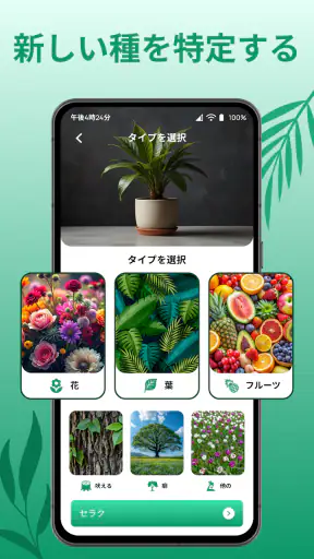 花の名前を調べる: しょくぶつ図鑑 - 樹木判別 screenshot