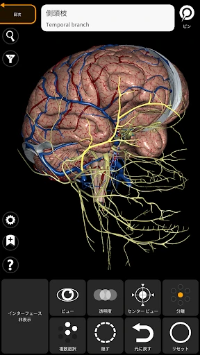 解剖学 - 3Dアトラス screenshot
