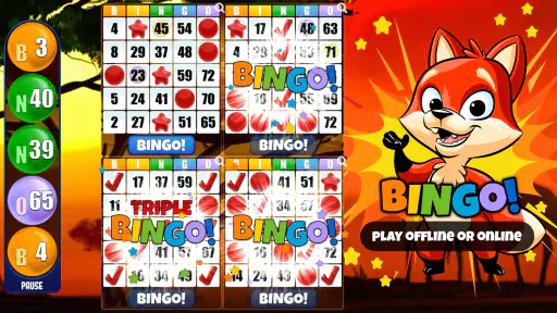 Absolute Bingo screenshot