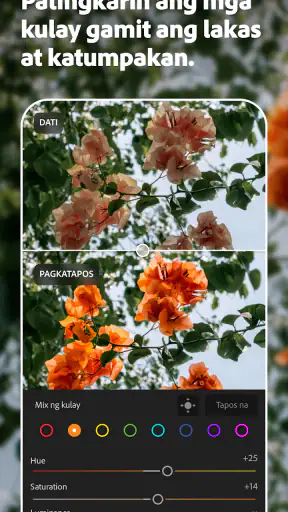 AI Photo Editor ng Lightroom screenshot
