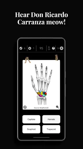 Anatomist - The Anatomy Game screenshot