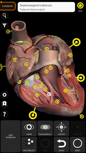 Anatomy 3D Atlas screenshot
