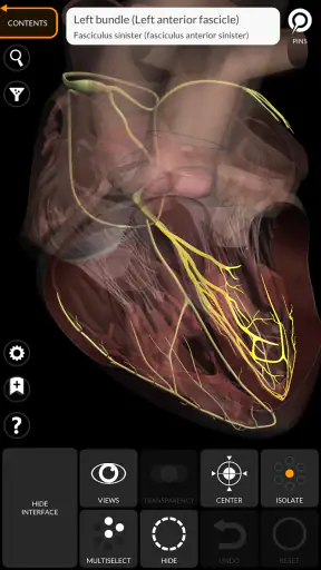 Anatomy 3D Atlas screenshot