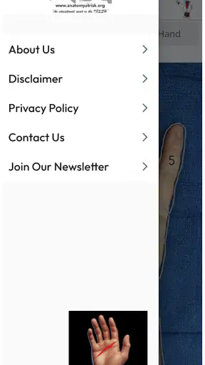 Anatomy at Risk screenshot