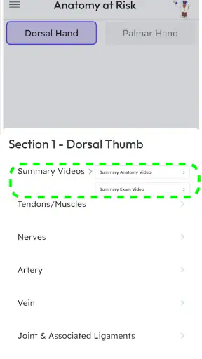 Anatomy at Risk screenshot