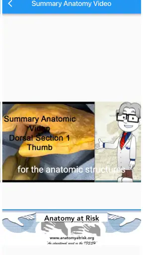 Anatomy at Risk screenshot