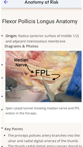 Anatomy at Risk screenshot