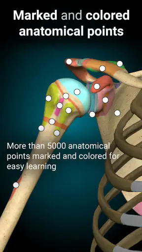 Anatomy Learning By Dr. Blanco screenshot