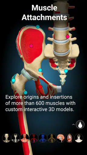 Anatomy Learning By Dr. Blanco screenshot