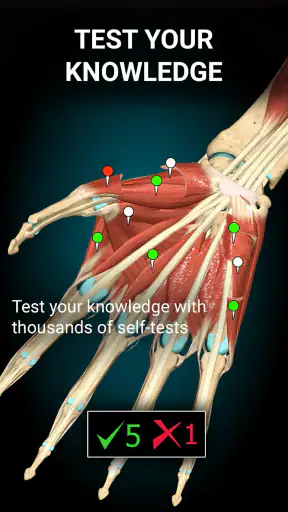 Anatomy Learning By Dr. Blanco screenshot