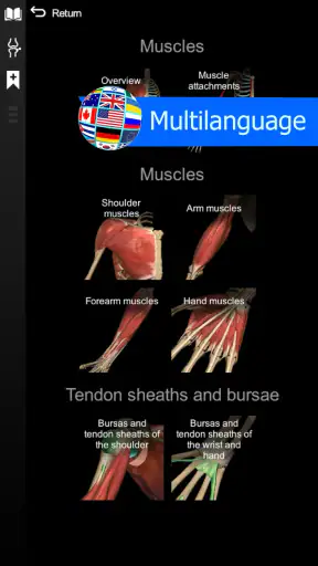 Anatomy Learning By Dr. Blanco screenshot