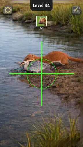 Animal Hunter: Wild Shooting screenshot