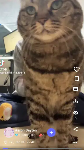 BebeLive screenshot