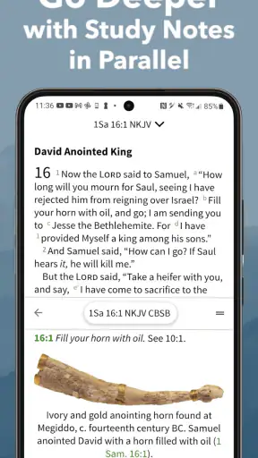 Bible App by Olive Tree screenshot