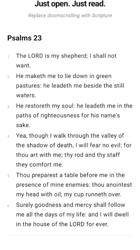 Bible Scroll (KJV) screenshot