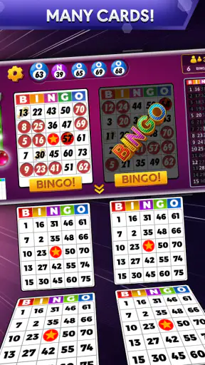 Bingo - Offline Bingo Game screenshot
