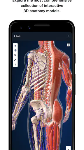 BioDigital Human - 3D Anatomy screenshot