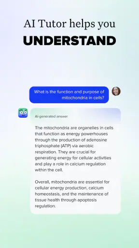 Brainly – Homework Help App screenshot