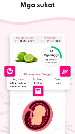 Calculator ng Pagbubuntis screenshot