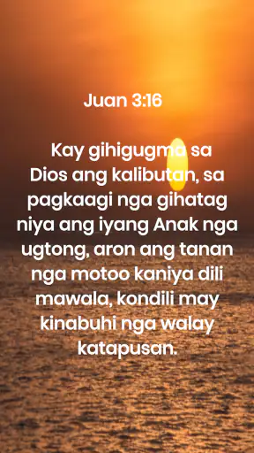 Cebuano Bible -CEBUANO+KJV+NIV screenshot
