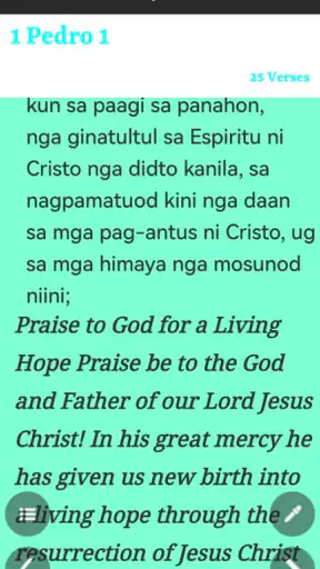 Cebuano King James Bible screenshot