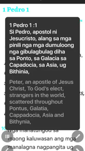 Cebuano King James Bible screenshot