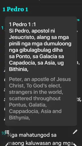 Cebuano King James Bible screenshot