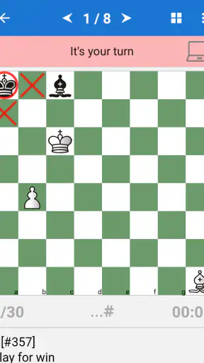 Chess Endings for Beginners screenshot
