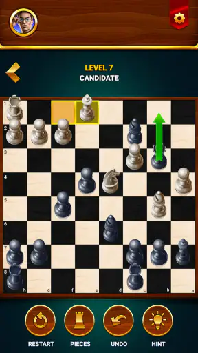 Chess - Offline Board Game screenshot