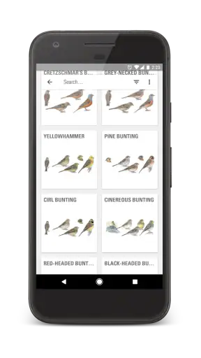 Collins Bird Guide screenshot