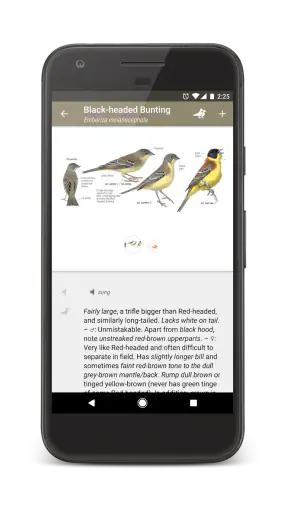 Collins Bird Guide screenshot