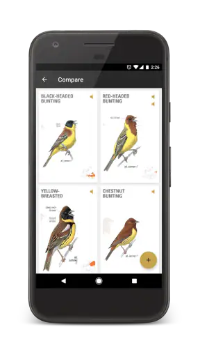 Collins Bird Guide screenshot