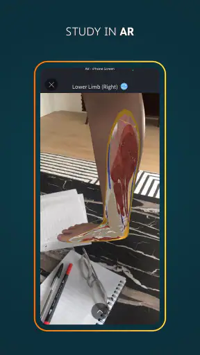 Complete Anatomy screenshot