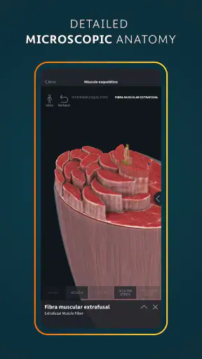 Complete Anatomy screenshot