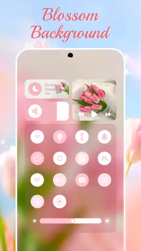 Control Widget - Themed Panels screenshot