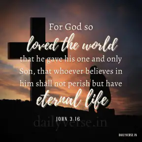 Daily Bible Verses screenshot