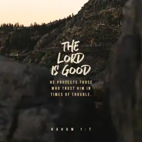 Daily Bible Verses screenshot