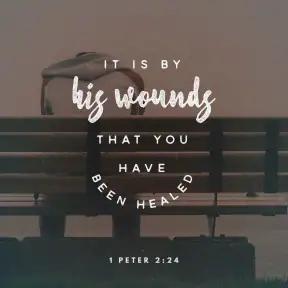 Daily Bible Verses screenshot