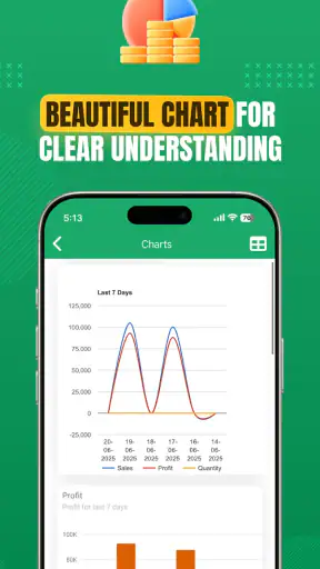 Daily Sales Record screenshot