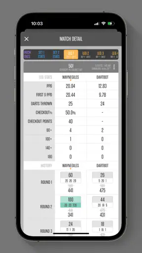 Dartsmind screenshot