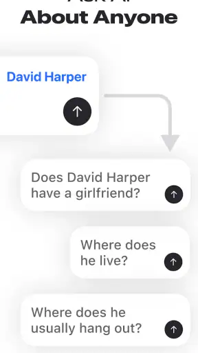 Deepsearch AI Search Assistant screenshot