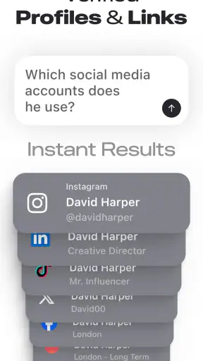 Deepsearch AI Search Assistant screenshot