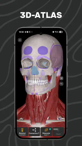 Easy Anatomy 3D screenshot