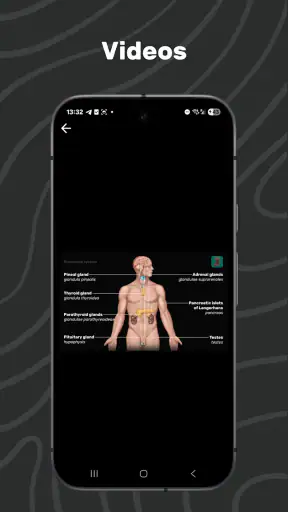 Easy Anatomy 3D screenshot