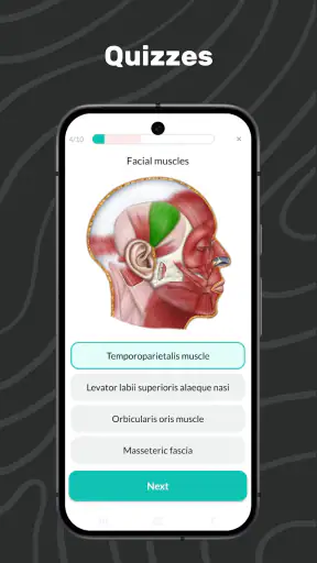Easy Anatomy 3D screenshot