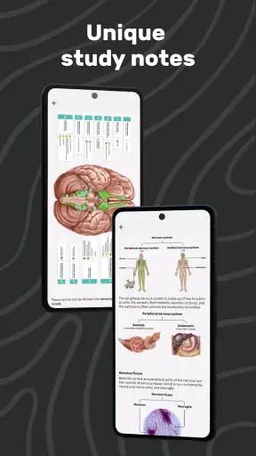 Easy Anatomy 3D screenshot