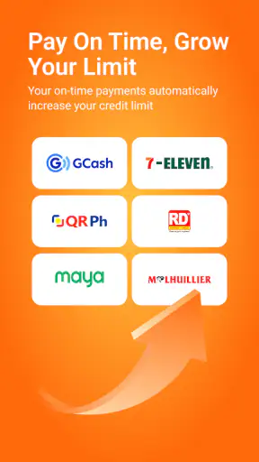 EASY BORROW screenshot